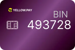 Reloadable Visa standard virtual card
